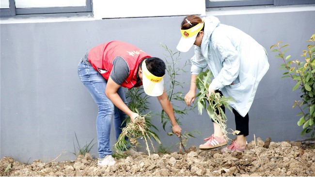 昆山奧馬黨支部活動(dòng) — 黨員帶頭美家園