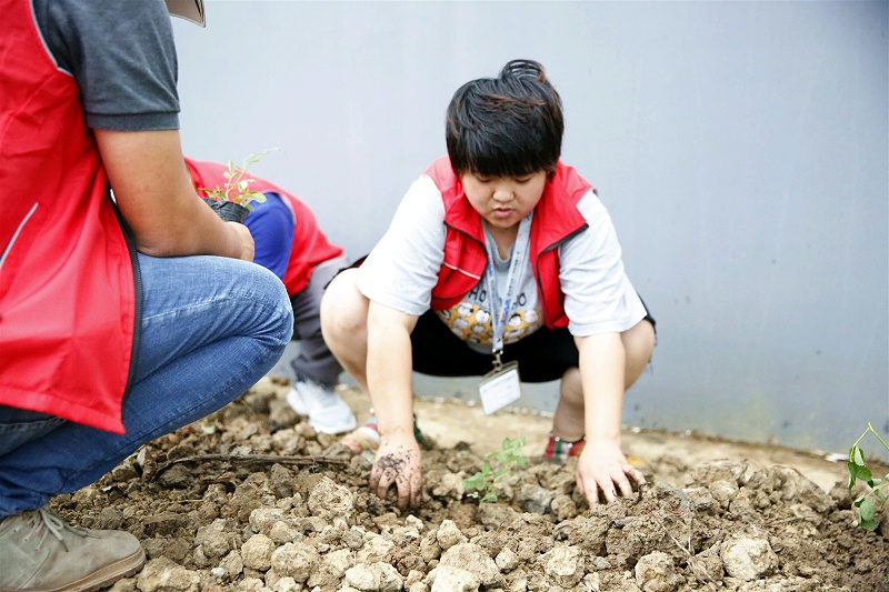 種花鋤草 (79)_副本
